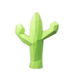 Kit à assembler  - Cactus