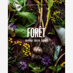 Forêt : Identifier, cueillir, cuisiner