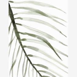 Illustration - Feuille palmier