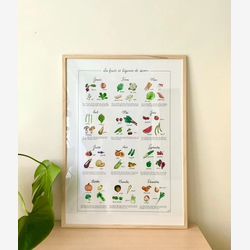 France - Illustrated poster of Seasonal Fruits and Vegetables (FRANCE)