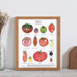 Affiche 11x14 - Tomates