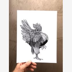 Cock of the Walk 8.5x11 Limited Edition Print