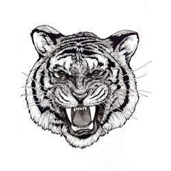 Tiger King 5x7