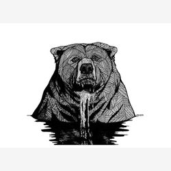 Water Bear 5x7
