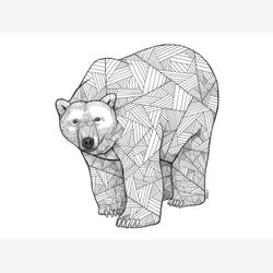 Boreal Bear 8.5x11 Limited Edition Print