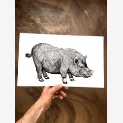 Wilbur Original Drawing 8.5 x 14"