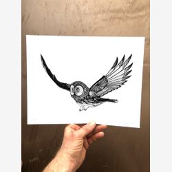 Flying Owl 8.5x11 Limited Edition Print