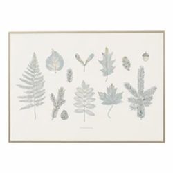 Laurentian Forest Art Print