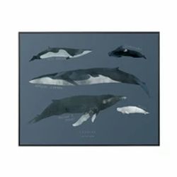 Cetacean Small Art Print