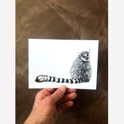 Ring-Tailed Lemur 5x7 Lemur Print